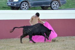 Tenta na ganadaria José Luis Cochicho 